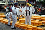 cheese market in Alkmaar